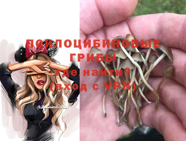 эйфоретик Нягань