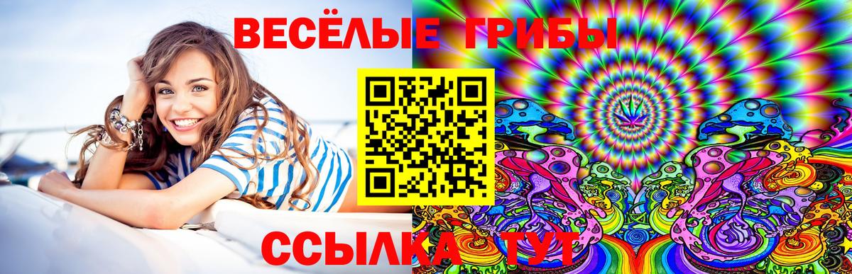 Галлюциногенные грибы Magic Shrooms  Вход с VPN  Псилоцибиновые грибы Magic Shrooms  Томск 