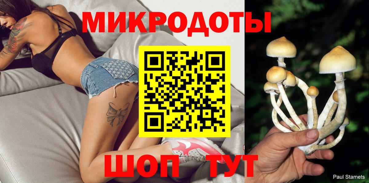 Галлюциногенные грибы Cubensis Томск