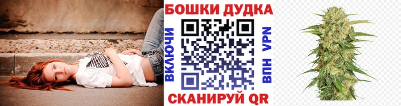 Марихуана сатива  где найти   Томск 